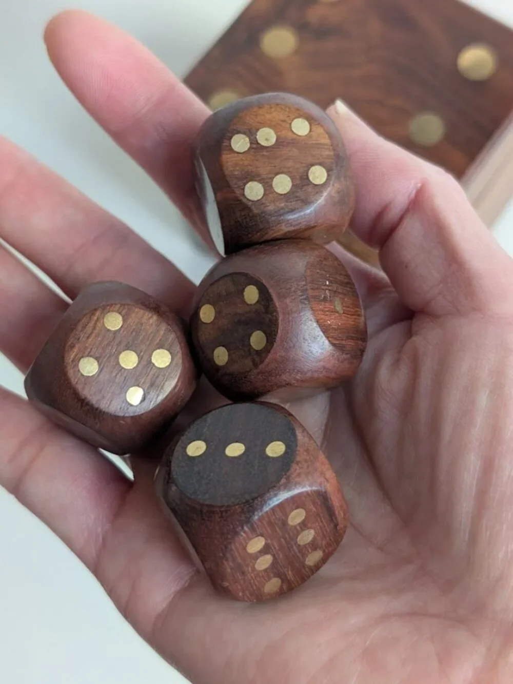West Elm Handcrafted Brass Inlay Wooden Dice & Storage Box
